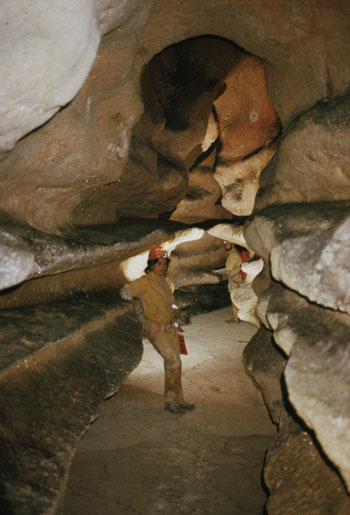 Cueva Del Lobo